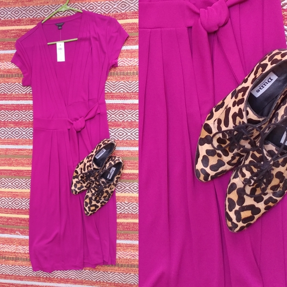 Raspberry Ann Taylor Dress - Picture 5 of 5